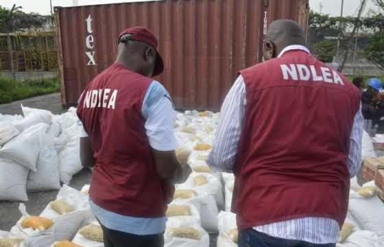 ndlea