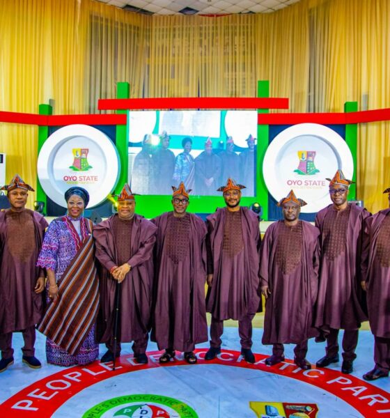 PDP Governors