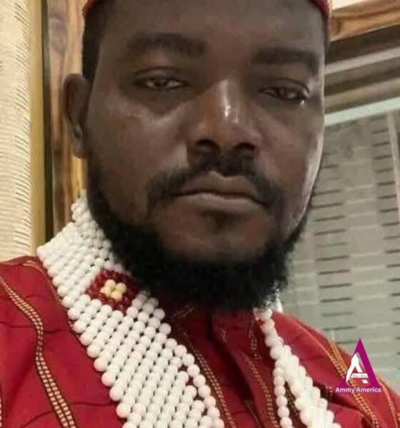 nugu Native Doctor