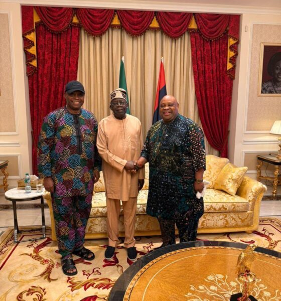 The ADELEKES AND TINUBU