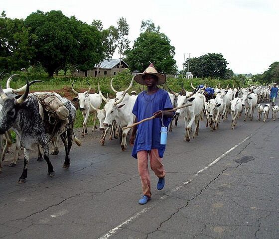 fulani HERDSMEN