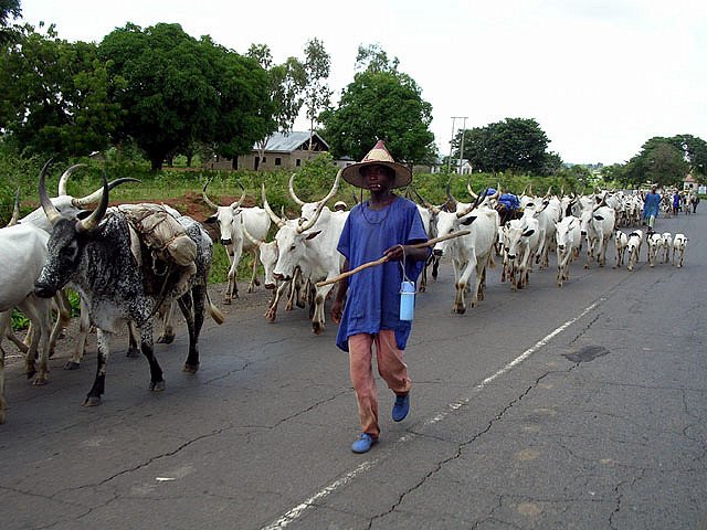 fulani HERDSMEN