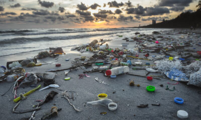 PLAstic pollution