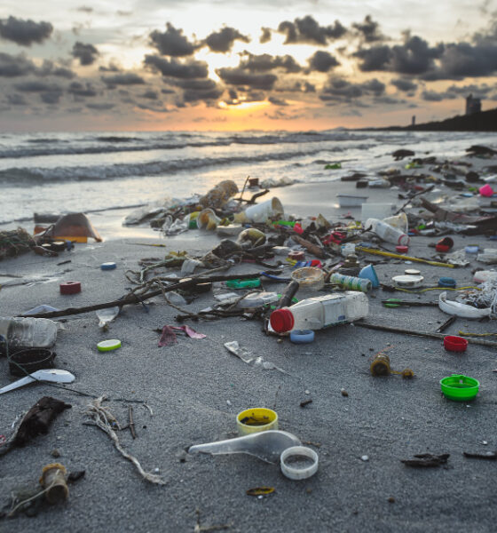 PLAstic pollution