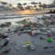 PLAstic pollution