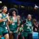 D'Tigress