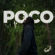olisae - poco
