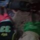 10 Killed, 9 Injured as Gunmen Attack Ebonyi Community Meeting in Anambra State