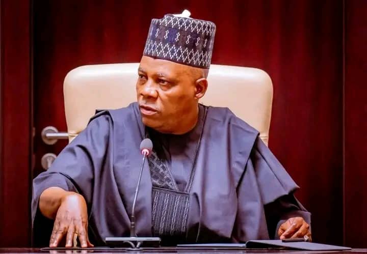 Vice President Kashim Shettima