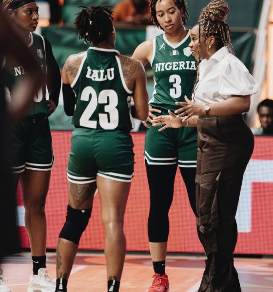 D'Tigress