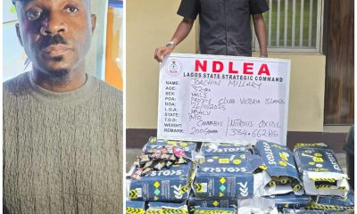 NDLEA arrests Pretty Mike during drug party raid at Lagos nightclub, seizes 384kg of cannabis.