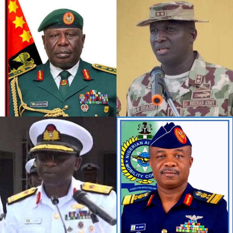 Oluyede Appointed New CDS as Tinubu Sacks Service Chiefs
