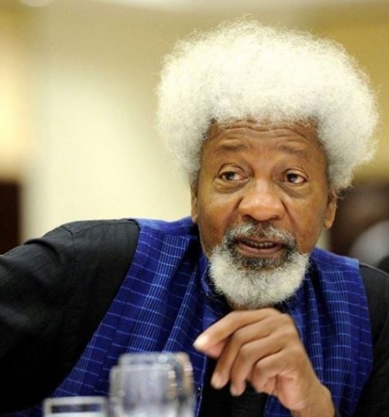 Wole Soyinka says the U.S. revoked his visa after new information emerged.