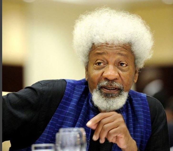 Wole Soyinka says the U.S. revoked his visa after new information emerged.
