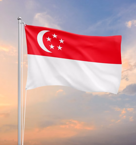 Singapore to Approve 40,000 PR Yearly, Opening Doors for Nigerians and Global Talent