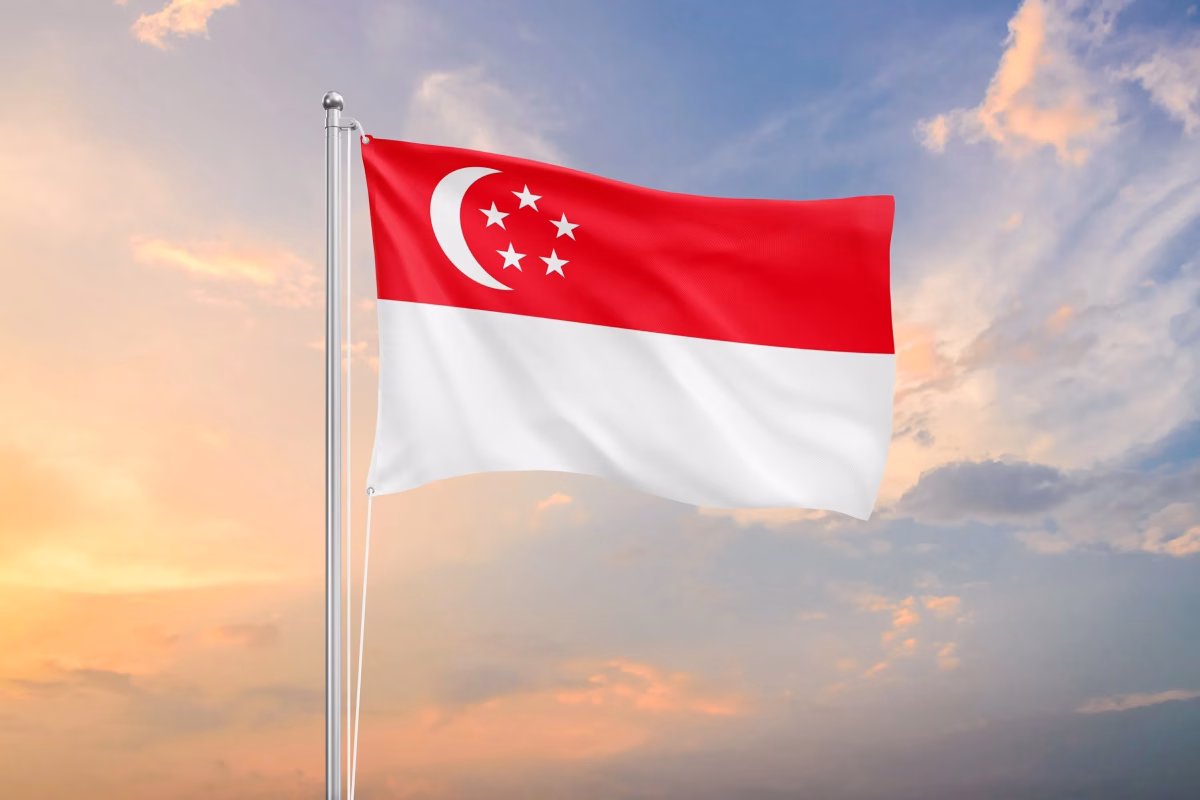 Singapore to Approve 40,000 PR Yearly, Opening Doors for Nigerians and Global Talent