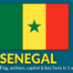 Chaos Erupts in Senegal's National Assembly as Lawmakers Clash Over Speaking Time